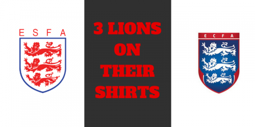 3 Lions on Their Shirts
